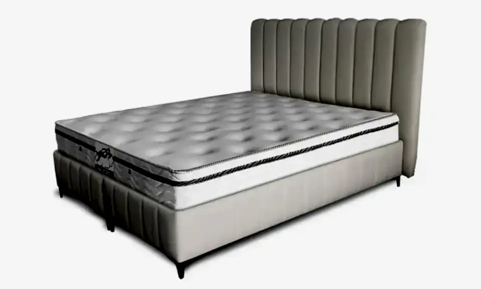 Seroxi Baza Başlık